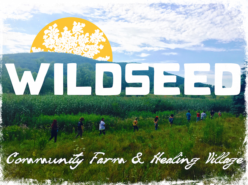 wildseed-2016-finale-image-copy